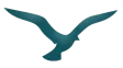 Armona Azul